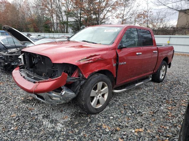 DODGE RAM 1500 2009 with VIN 1D3HV13T19S709125 - Photo from auction
