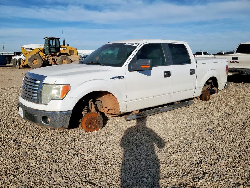 Photo 1 from auction – 2010 FORD F150 SUPER with VIN 1FTEW1C89AFA49708
