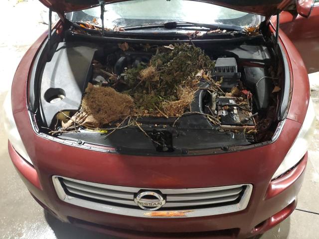 Photo 11 from auction – 2012 NISSAN MAXIMA S with VIN 1N4AA5AP1CC825824