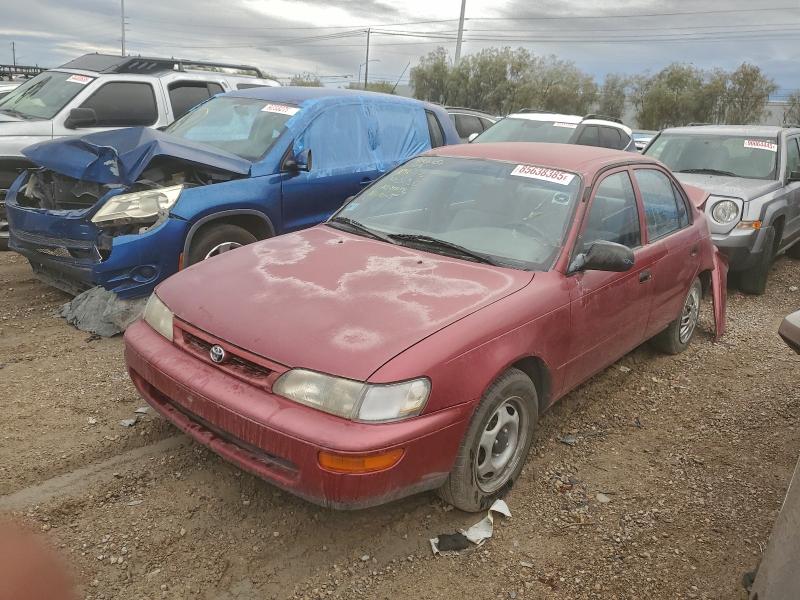 TOYOTA COROLLA 1996 with VIN 1NXBA02E2TZ495809 - Photo from auction