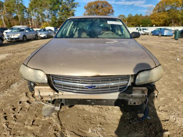 Photo 5 from auction – 2002 CHEVROLET MALIBU with VIN 1G1ND52J12M697230