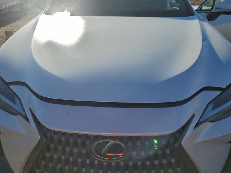 Photo 11 from auction – 2024 LEXUS NX 250 PRE with VIN 2T2GDCAZ8RC015751
