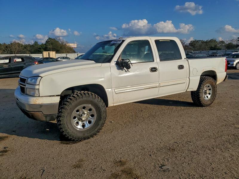 CHEVROLET SILVERADO 2006 with VIN 2GCEC13T461161215 - Photo from auction