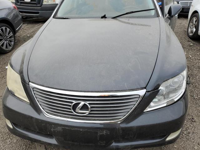 Photo 11 from auction – 2007 LEXUS LS 460 with VIN JTHBL46F475042296