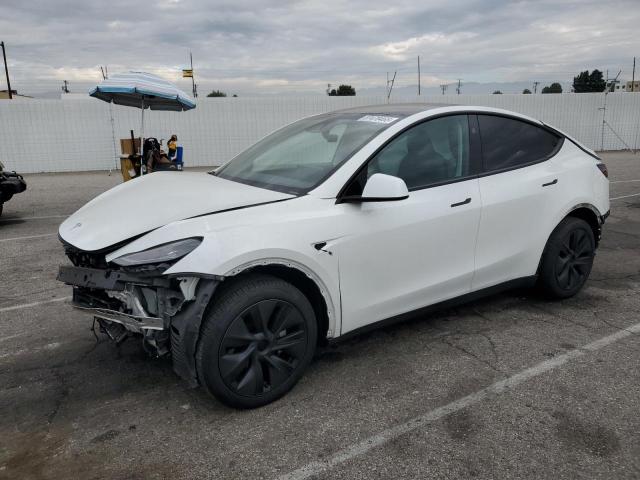 TESLA MODEL Y 2024 with VIN 7SAYGDED1RF194539 - Photo from auction