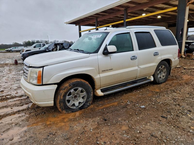 CADILLAC ESCALADE L 2004 with VIN 1GYEC63T34R252567 - Photo from auction
