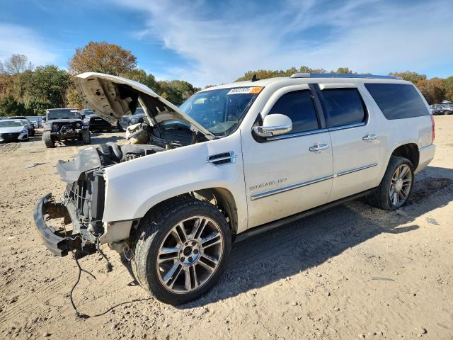 CADILLAC ESCALADE E 2010 with VIN 1GYUKJEFXAR249962 - Photo from auction