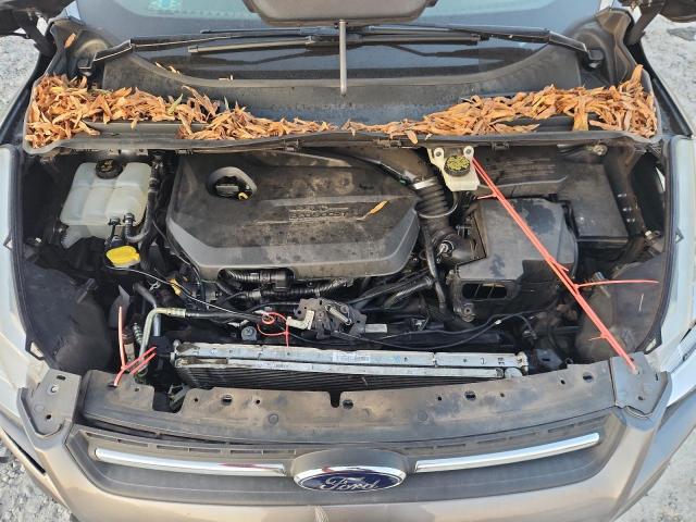 Photo 12 from auction – 2014 FORD ESCAPE SE with VIN 1FMCU0GXXEUB38869