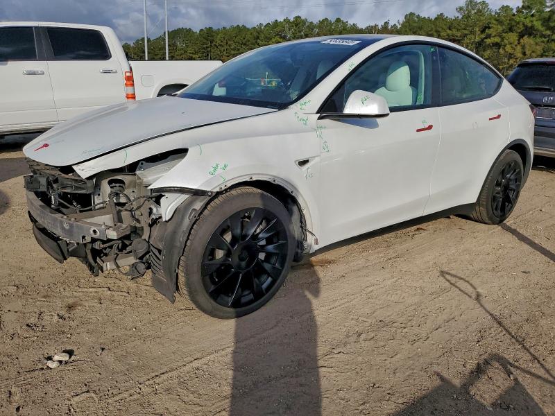TESLA MODEL Y 2021 with VIN 5YJYGDEEXMF061258 - Photo from auction