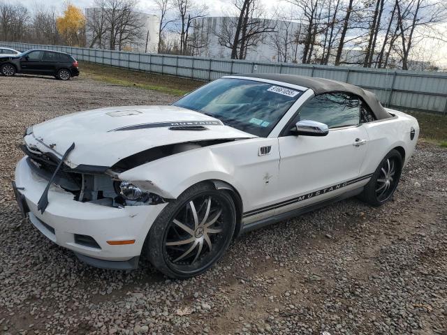 FORD MUSTANG 2012 with VIN 1ZVBP8EM0C5287083 - Photo from auction