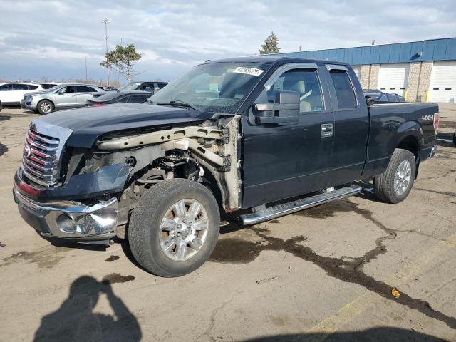 FORD F150 SUPER 2010 with VIN 1FTEX1E87AFD31601 - Photo from auction