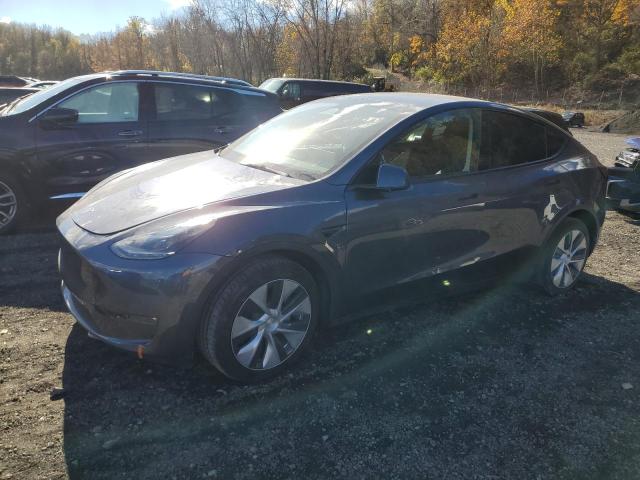 TESLA MODEL Y 2023 with VIN 7SAYGDEE2PF742991 - Photo from auction