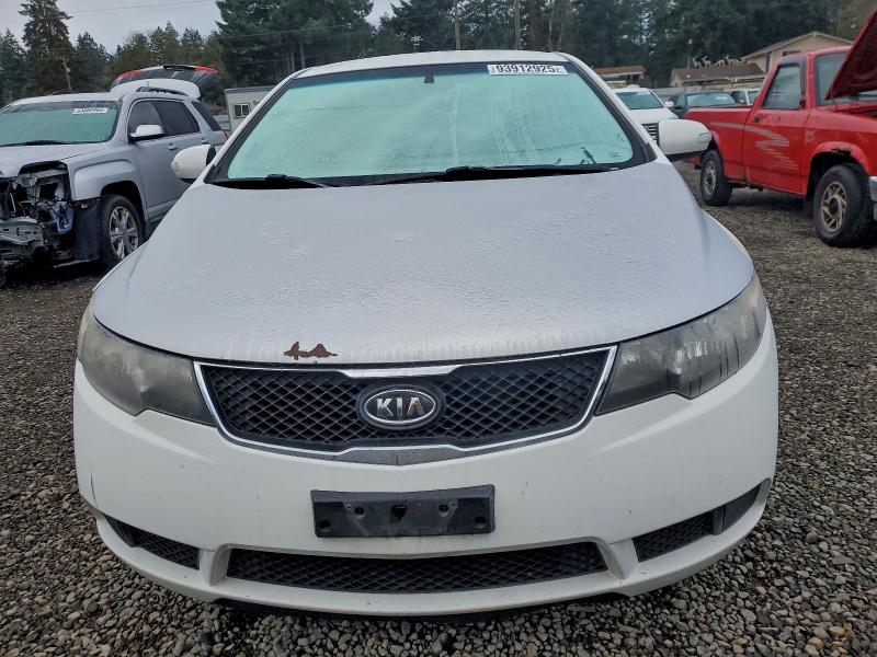 Photo 5 from auction – 2010 KIA FORTE EX with VIN KNAFU4A29A5166704