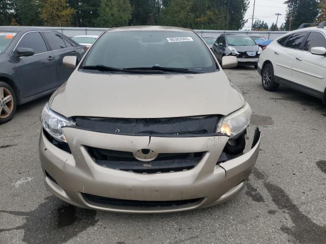 Photo 5 from auction – 2009 TOYOTA COROLLA BA with VIN 1NXBU40E29Z030201
