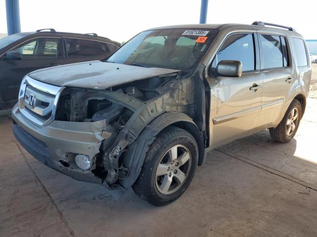 HONDA PILOT EX 2011 with VIN 5FNYF3H46BB050531 - Photo from auction