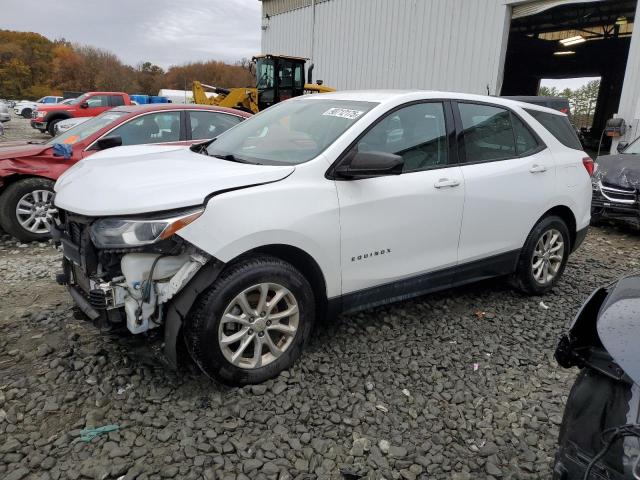 CHEVROLET EQUINOX LS 2019 with VIN 2GNAXHEV1K6180562 - Photo from auction