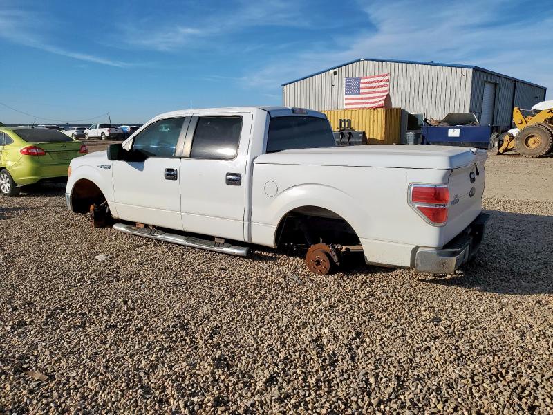 Photo 2 from auction – 2010 FORD F150 SUPER with VIN 1FTEW1C89AFA49708