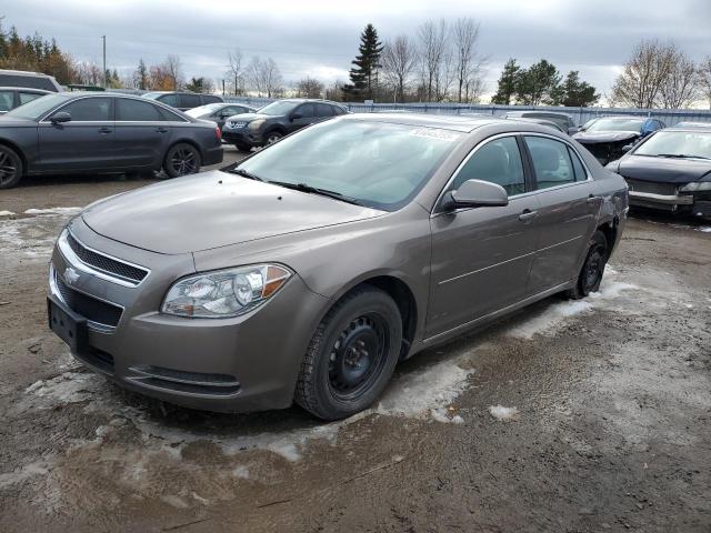 CHEVROLET MALIBU 2LT 2011 with VIN 1G1ZD5EU8BF365037 - Photo from auction