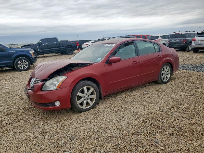NISSAN MAXIMA SE 2004 with VIN 1N4BA41E24C925641 - Photo from auction