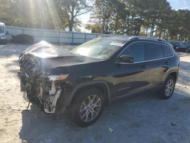 JEEP CHEROKEE L 2018 with VIN 1C4PJLLB2JD504005 - Photo from auction