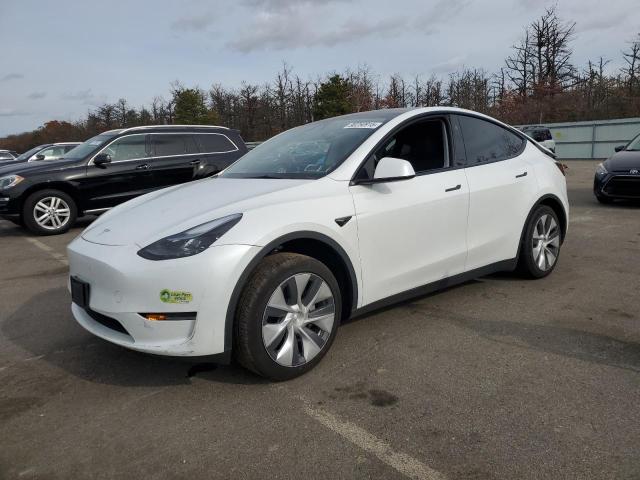 TESLA MODEL Y 2023 with VIN 7SAYGDED7PF962117 - Photo from auction