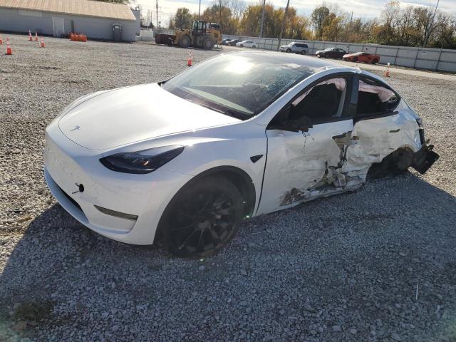 TESLA MODEL Y 2024 with VIN 7SAYGDEE5RF200643 - Photo from auction