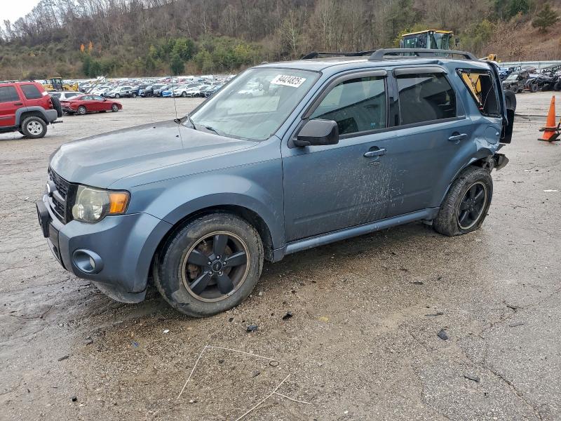FORD ESCAPE XLT 2011 with VIN 1FMCU0D72BKB39073 - Photo from auction