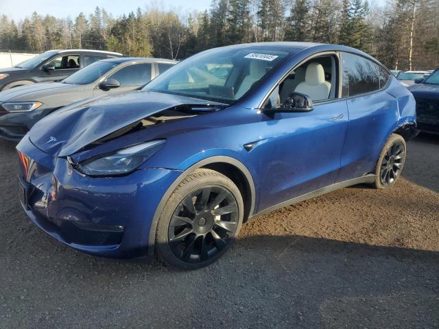 TESLA MODEL Y 2023 with VIN 7SAYGAEE5PF769536 - Photo from auction