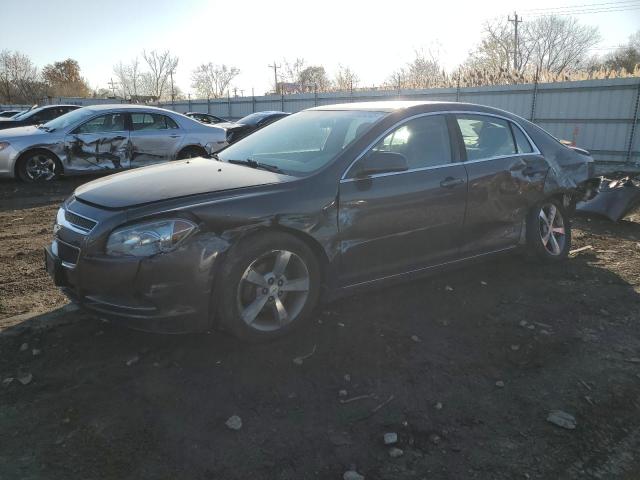 CHEVROLET MALIBU 1LT 2011 with VIN 1G1ZC5E11BF167537 - Photo from auction