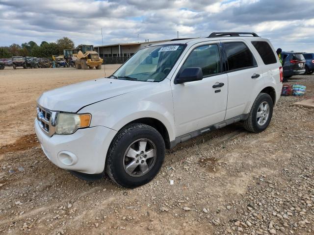 FORD ESCAPE XLT 2009 with VIN 1FMCU03709KC39765 - Photo from auction