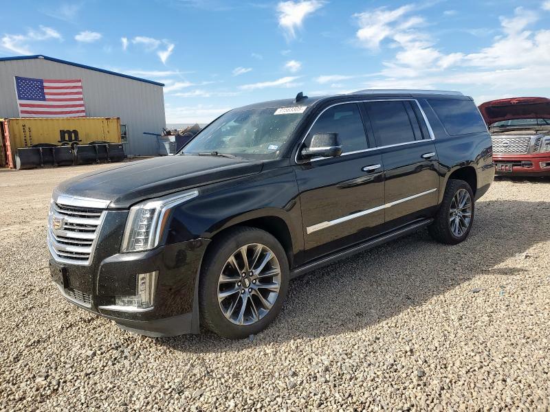 CADILLAC ESCALADE 2017 with VIN 1GYS3KKJXHR309977 - Photo from auction