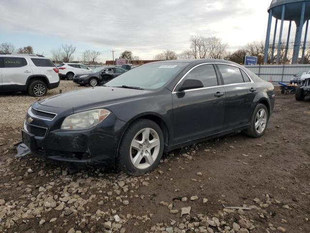 CHEVROLET MALIBU LS 2010 with VIN 1G1ZB5EB6AF267501 - Photo from auction