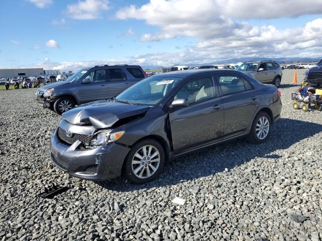 TOYOTA COROLLA BA 2010 with VIN 1NXBU4EE0AZ365650 - Photo from auction