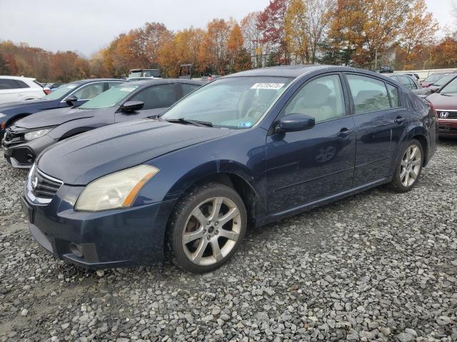 NISSAN MAXIMA 2008 with VIN 1N4BA41E58C835826 - Photo from auction