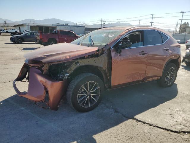 LEXUS NX 2025 with VIN 2T2ADCAZ0SC030448 - Photo from auction