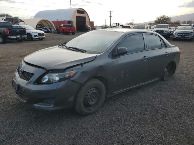 TOYOTA COROLLA BA 2010 with VIN 1NXBU4EE5AZ338816 - Photo from auction