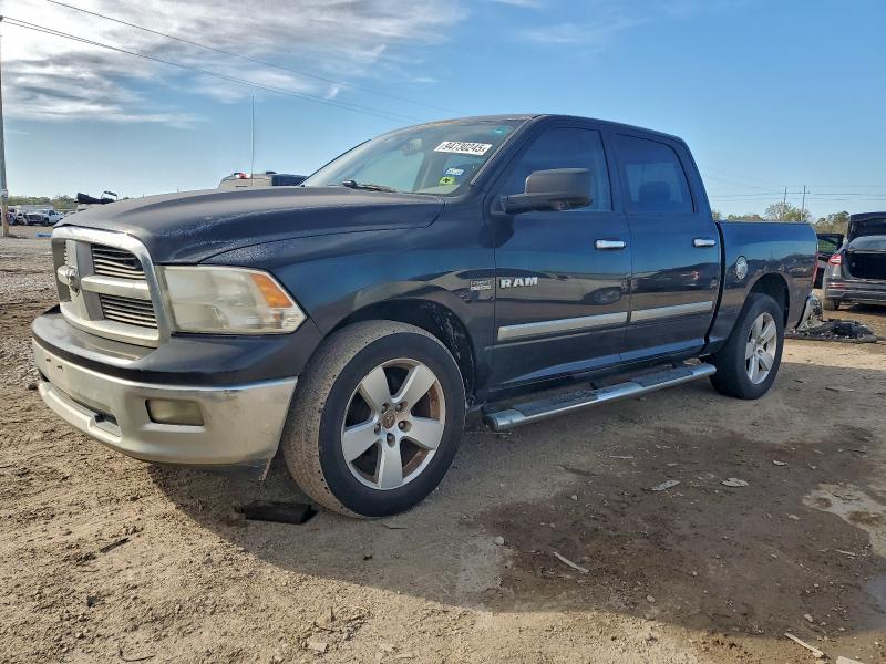 DODGE RAM 1500 2009 with VIN 1D3HB13T29S766569 - Photo from auction