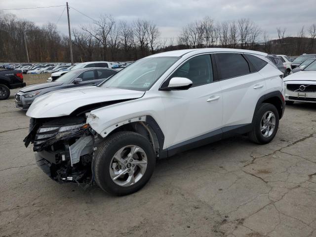 HYUNDAI TUCSON SE 2022 with VIN 5NMJACAE8NH018511 - Photo from auction
