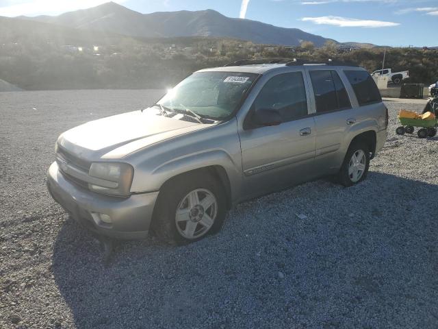 CHEVROLET TRAILBLAZE 2002 with VIN 1GNDT13S522181378 - Photo from auction