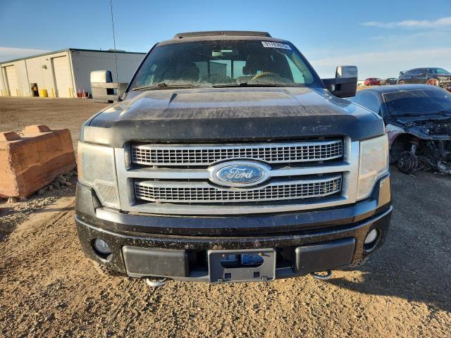 Photo 5 from auction – 2009 FORD F150 SUPER with VIN 1FTPW14VX9FB29897