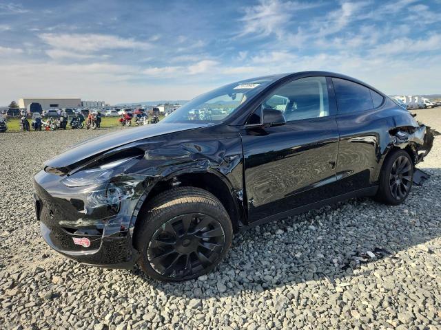 TESLA MODEL Y 2024 with VIN 7SAYGDEE6RF983455 - Photo from auction
