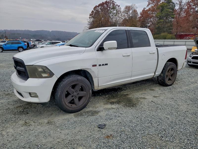 DODGE RAM 1500 2010 with VIN 1D7RB1CT7AS169036 - Photo from auction