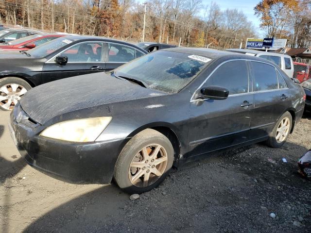 HONDA ACCORD EX 2004 with VIN 1HGCM66554A103648 - Photo from auction