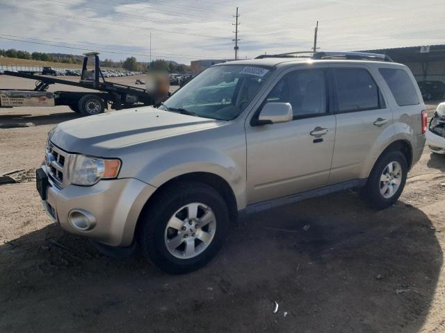 FORD ESCAPE LIM 2010 with VIN 1FMCU9EG4AKB31008 - Photo from auction