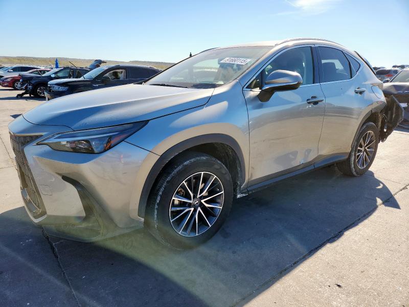 LEXUS NX 250 2023 with VIN JTJADCAZ8P5010325 - Photo from auction