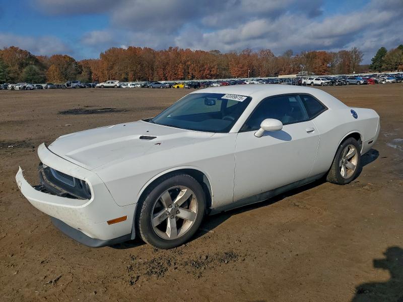 DODGE CHALLENGER 2013 with VIN 2C3CDYAG3DH536300 - Photo from auction