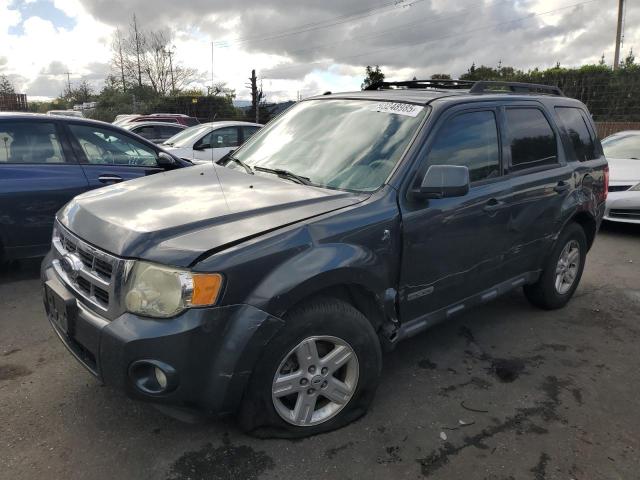 FORD ESCAPE 2008 with VIN 1FMCU49H68KE51592 - Photo from auction