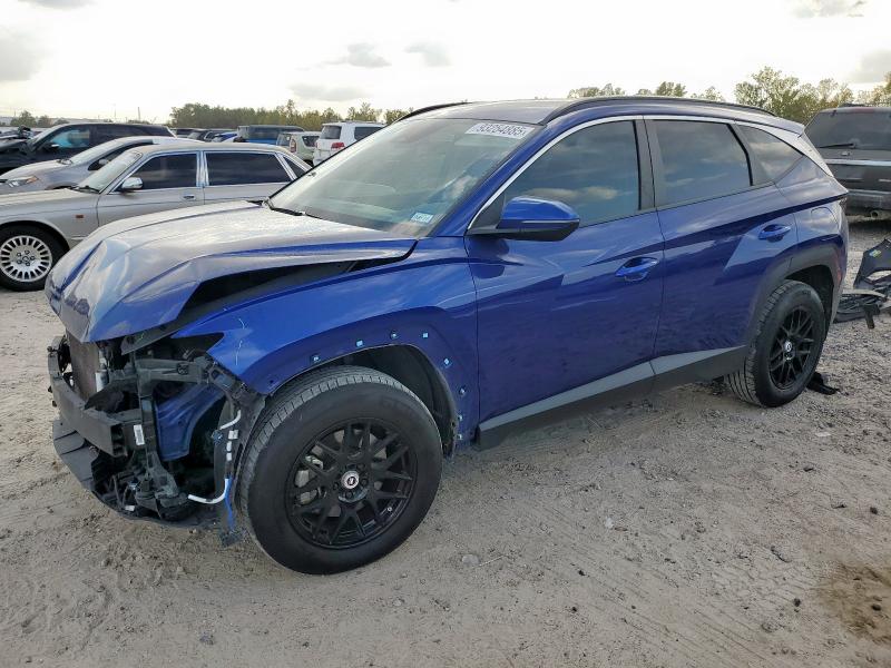 HYUNDAI TUCSON SEL 2023 with VIN 5NMJBCAE0PH214426 - Photo from auction