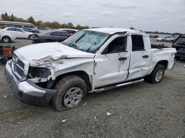 DODGE DAKOTA QUA 2005 with VIN 1D7HW48N25S225496 - Photo from auction
