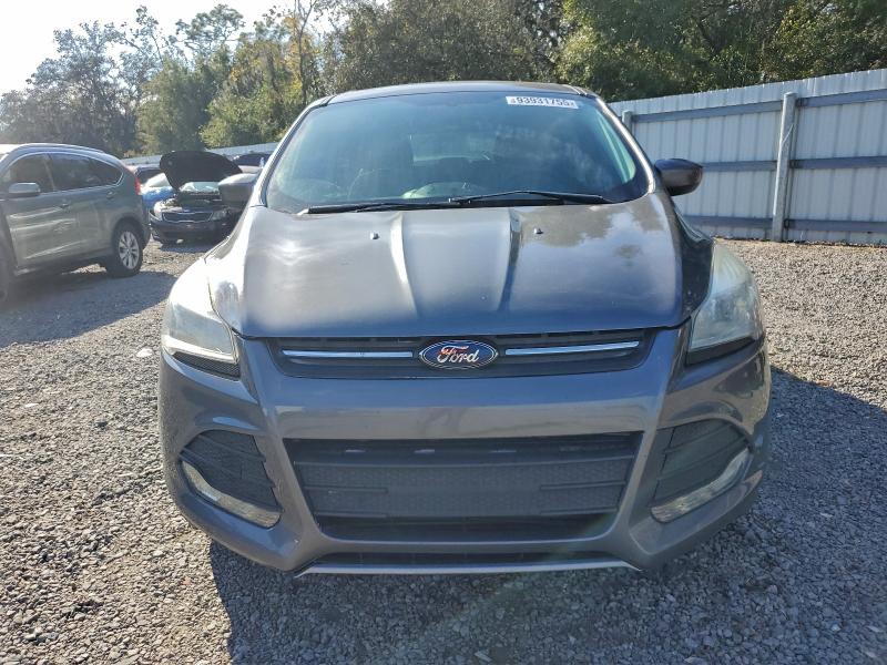 Photo 5 from auction – 2014 FORD ESCAPE SE with VIN 1FMCU0GX1EUC16827